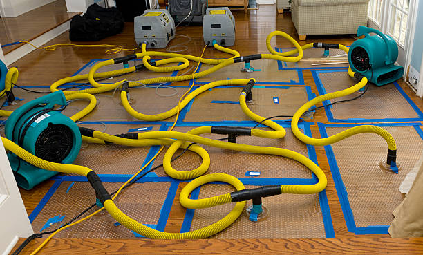 Professional Water Damage Restoration technician working in Lavinia, TN